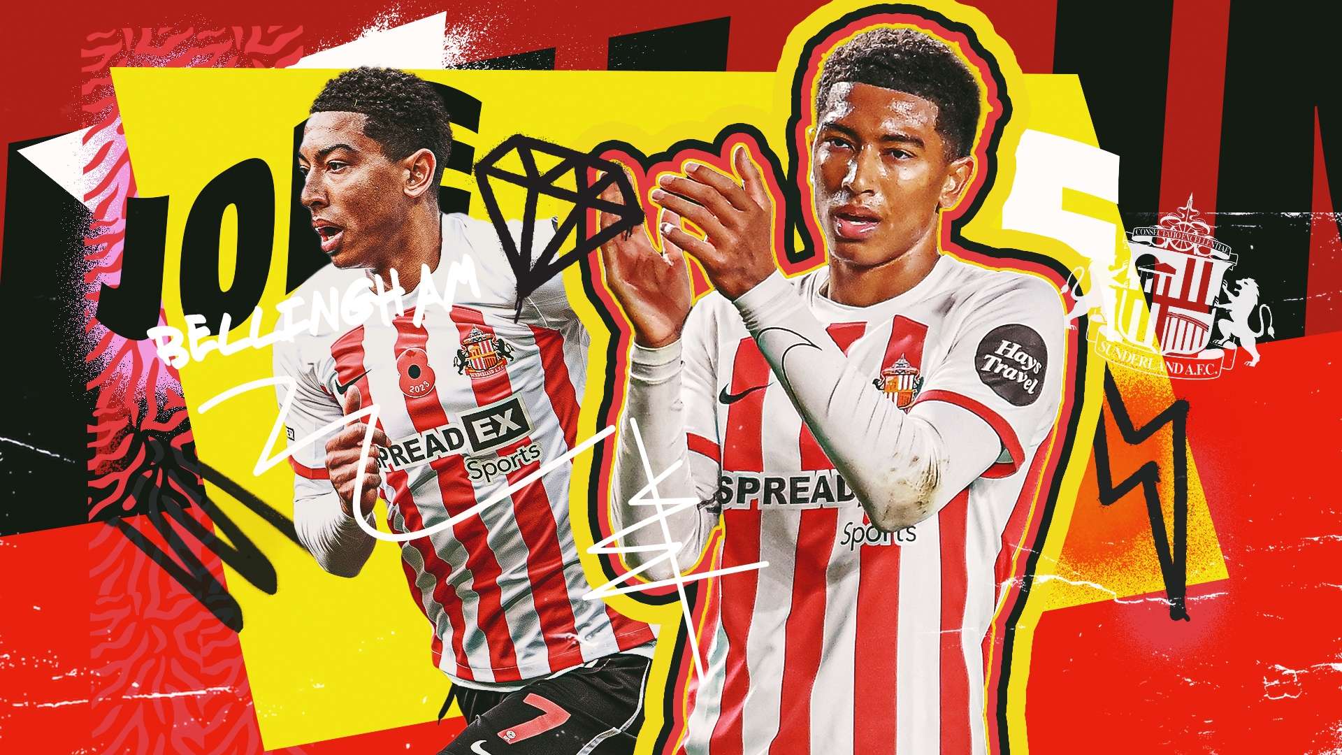 个部分将从 个部分将从